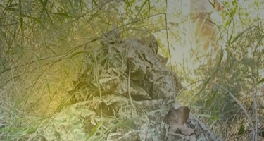 Video holder image